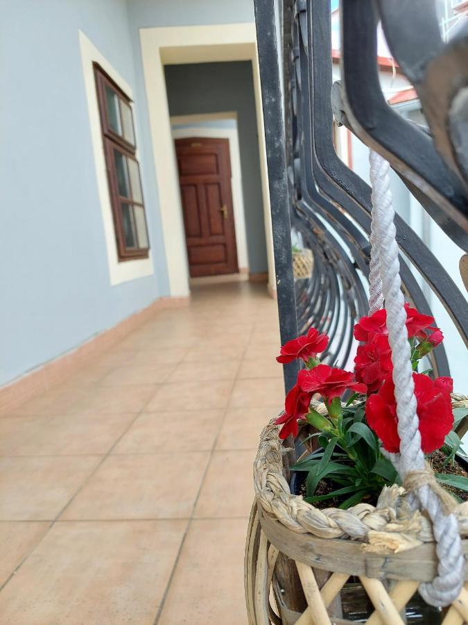 Hotel Salamander - Garni Banská Štiavnica Eksteriør billede
